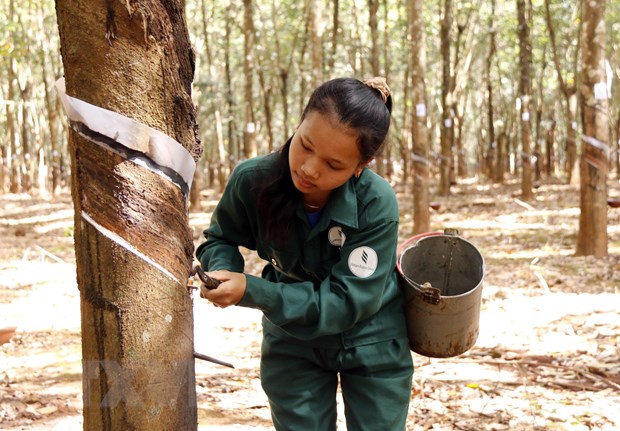 Lào đánh giá doanh nghiệp Việt Nam là những nhà đầu tư có trách nhiệm